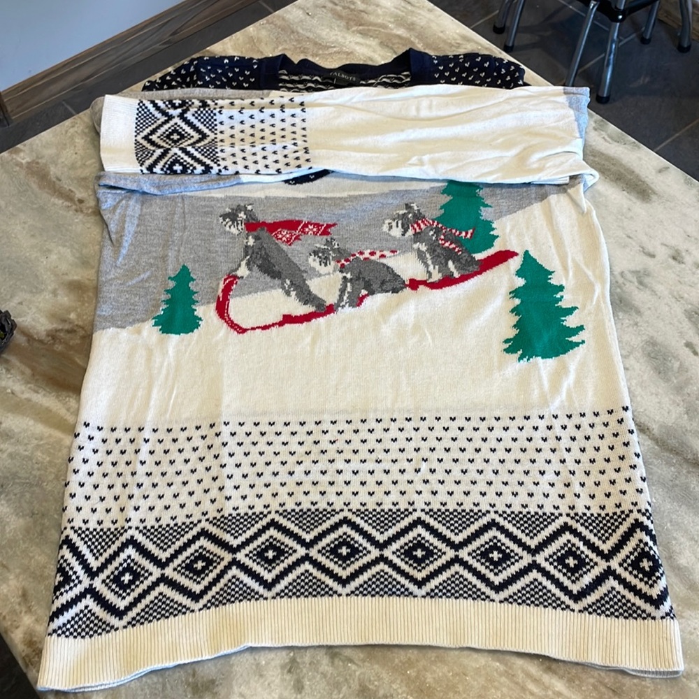 Lightweight winter scene sweater from Talbots